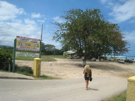 Beachview Villa Near Ocho Rios Montego Bay Jamaica Discovery Bay